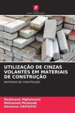 UTILIZAÇ?O DE CINZAS VOLANTES EM MATERIAIS DE CONSTRUÇ?O