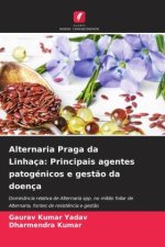 Alternaria Praga da Linhaça: Principais agentes patogénicos e gest?o da doença