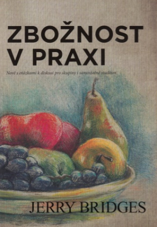 Zboďż˝nost v praxi