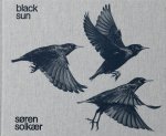 S?ren Solk?r: Black Sun