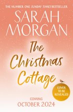 Sarah Morgan Christmas 2024