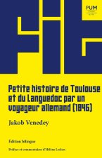Petite histoire de Toulouse et du Languedoc par un voyageur allemand (1846)