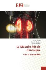 La Maladie Rénale Chronique vue d?ensemble