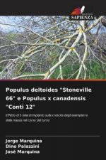 Populus deltoides 
