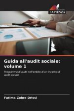 Guida all'audit sociale: volume 1