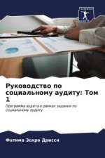 Rukowodstwo po social'nomu auditu: Tom 1