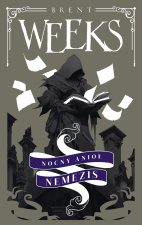 Nocny Anioł. Nemezis. Anioł Nocy
