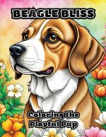 Beagle Bliss