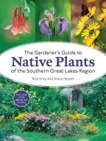 GARDENERS GT NATIVE PLANTS SOUTHERN GREA