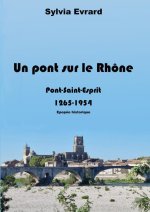 Un pont sur le Rhône