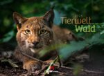Tierwelt Wald Kalender 2025