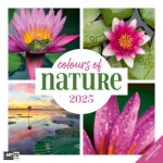 Colours of Nature Kalender 2025 - 30x30