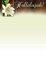 Letterhead - Hallelujah Lily