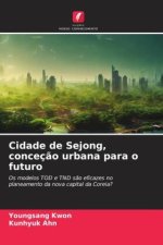 Cidade de Sejong, conceç?o urbana para o futuro