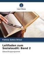 Leitfaden zum Sozialaudit: Band 2
