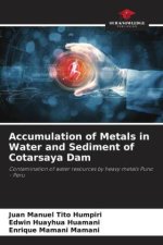 Accumulation of Metals in Water and Sediment of Cotarsaya Dam