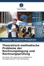 Theoretisch-methodische Probleme der Rechnungslegung und Rechnungsprüfung