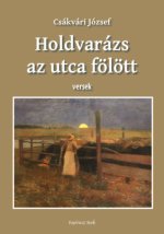 Holdvarázs az utca felett