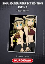Soul Eater Perfect Edition - Tome 6