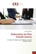 Élaboration du Plan d'Audit Interne