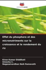 Effet du phosphore et des micronutriments sur la croissance et le rendement du riz