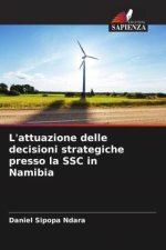 L'attuazione delle decisioni strategiche presso la SSC in Namibia