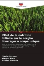 Effet de la nutrition foliaire sur le sorgho fourrager à coupe unique
