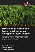 Effetto della nutrizione fogliare sul sorgo da foraggio a taglio singolo