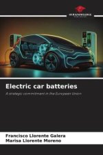 Electric car batteries