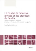 PRUEBA DE DETECTIVE PRIVADO EN LOS PROCESOS DE FAMILIA, LA