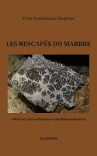 LES RESCAPES DU MARBRE (100 écrits journalistiques et quelques poussières)