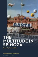 Multitude in Spinoza