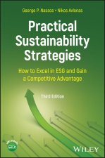 Practical Sustainability Strategies