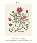 DuMonts Botanisches Kabinett - Zauberhafte Heil- und Gartenpflanzen - Illustriert von F.A. Happe - Kunstkalender 2025 - Wandkalender im Hochformat 34,