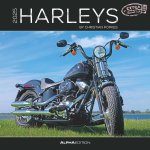 Harleys 2025 - Broschürenkalender 30x30 cm (30x60 geöffnet) - Kalender mit Platz für Notizen - Motorräder - Bildkalender - Wandplaner - Harley-Davidso