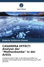 CASANDRA EFFECT: Analyse der 