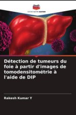 Détection de tumeurs du foie ? partir d'images de tomodensitométrie ? l'aide de DIP