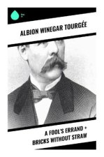 A Fool's Errand + Bricks Without Straw