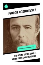 The House of the Dead + Notes from Underground
