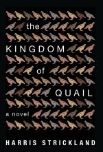 The Kingdom of Quail