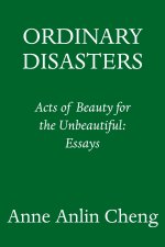 Ordinary Disasters