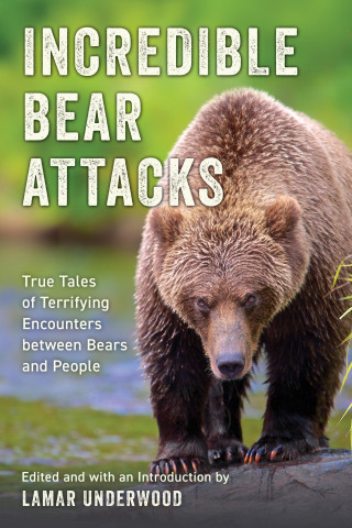 When Bears Attack