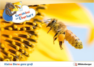 Kamishibai mit Eberhart - Kleine Biene ganz groß - Set