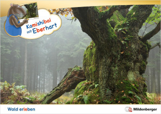 Kamishibai mit Eberhart - Wald erleben - Set