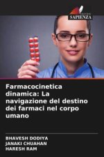 Farmacocinetica dinamica: La navigazione del destino dei farmaci nel corpo umano