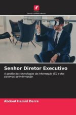 Senhor Diretor Executivo