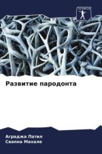 Razwitie parodonta