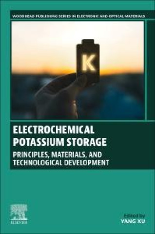 Electrochemical Potassium Storage (Yang XU)(Carte broșată)