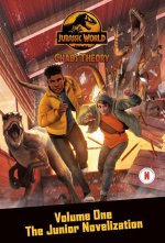 CHAOS THEORY V01 THE JUNIOR NOVELIZATION
