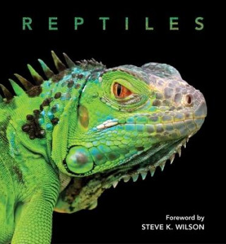 Reptiles